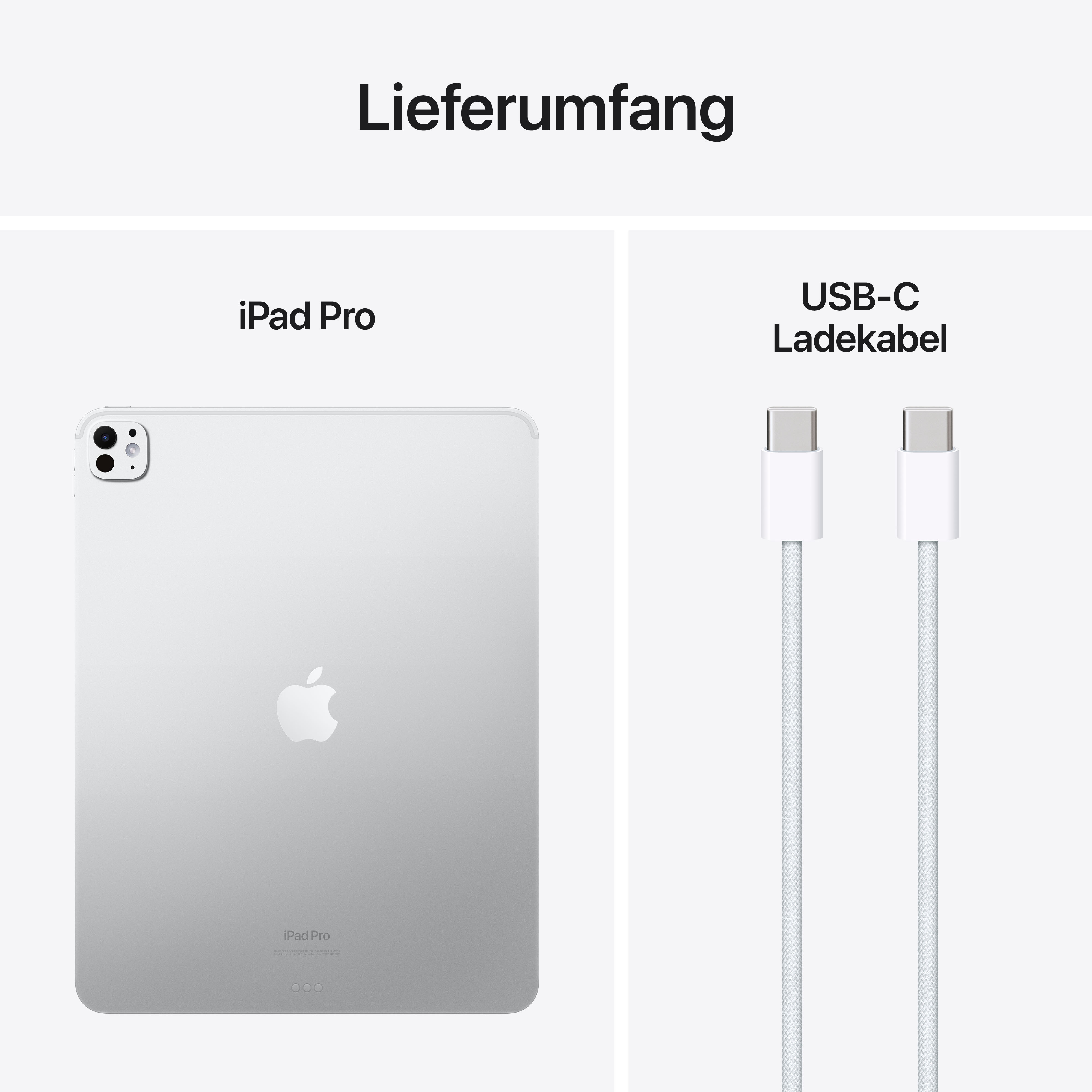 Apple iPad Pro 2024 13" WiFi 1 TB Standardglass Silver
