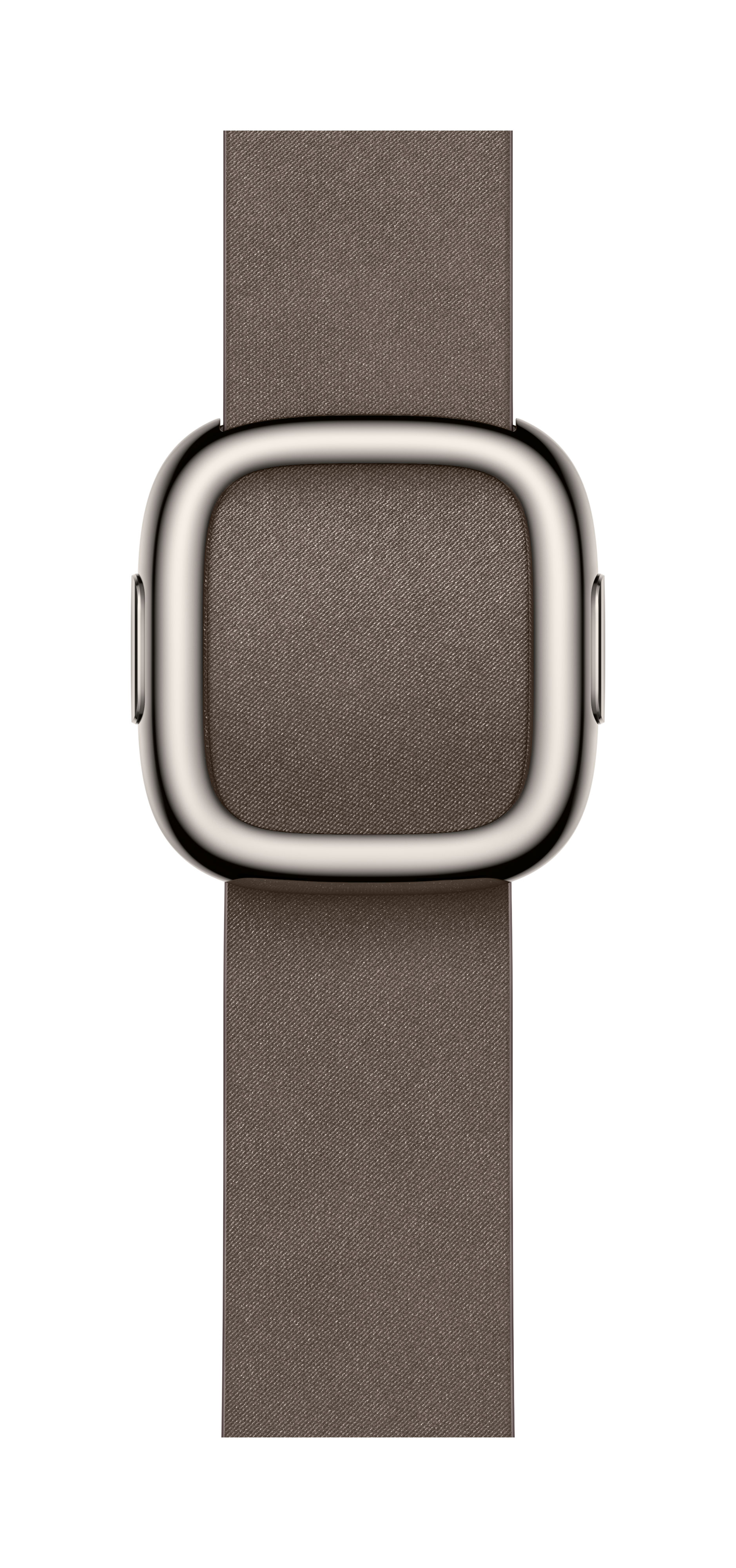 Apple 42mm Dark Taupe Modern Buckle Large