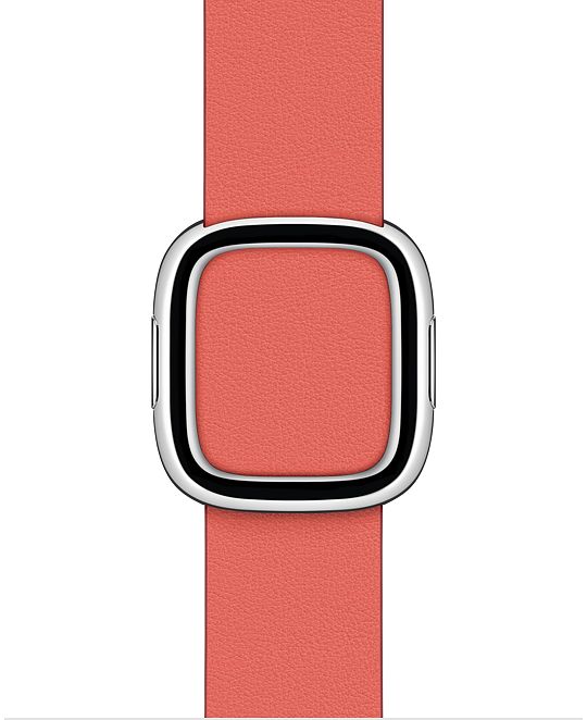 Apple 46mm Light Blush Sport Band S/M