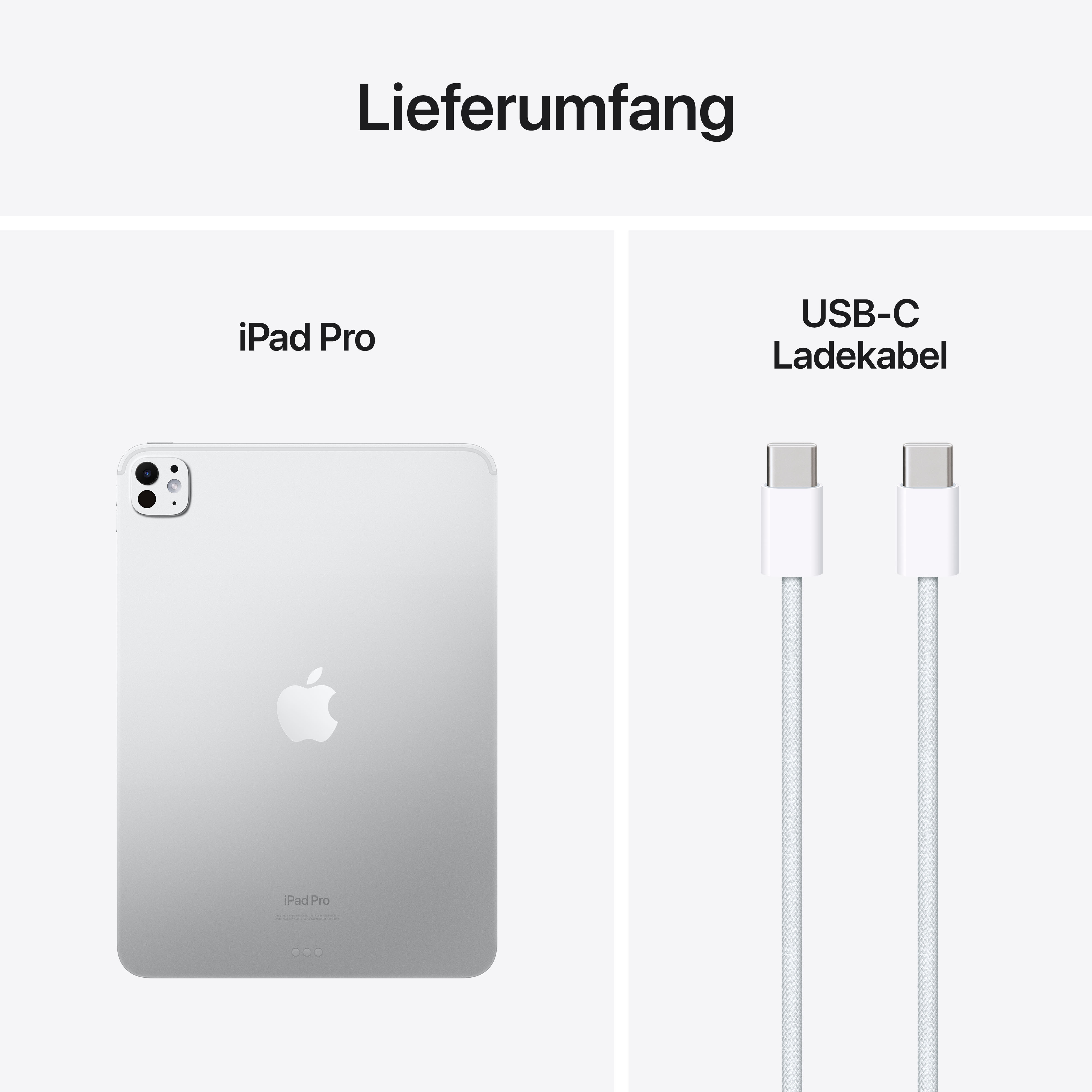 Apple iPad Pro 2024 11" WiFi 2 TB Standardglass Silver