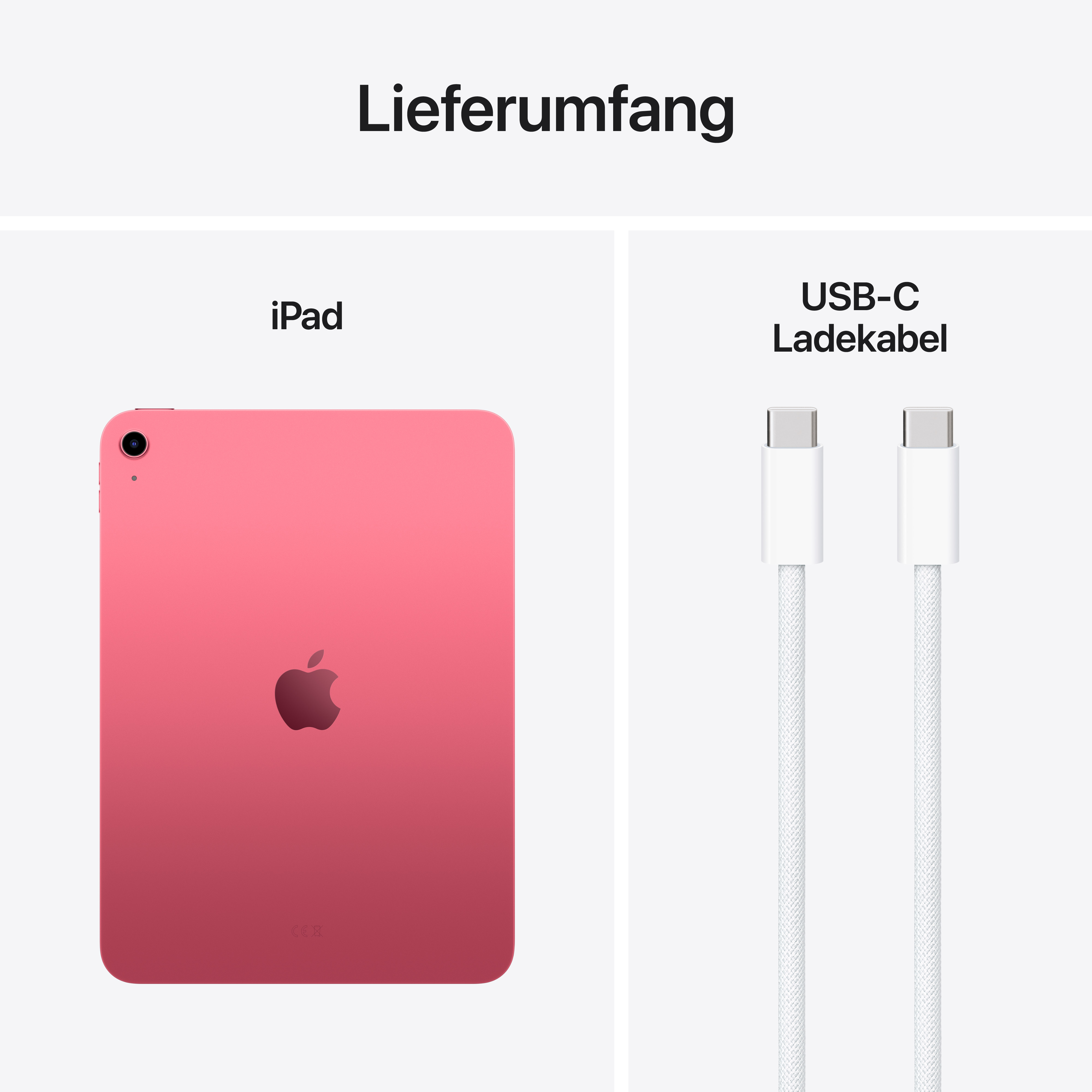Apple iPad 11" A16 Wi-Fi 128 GB Pink
