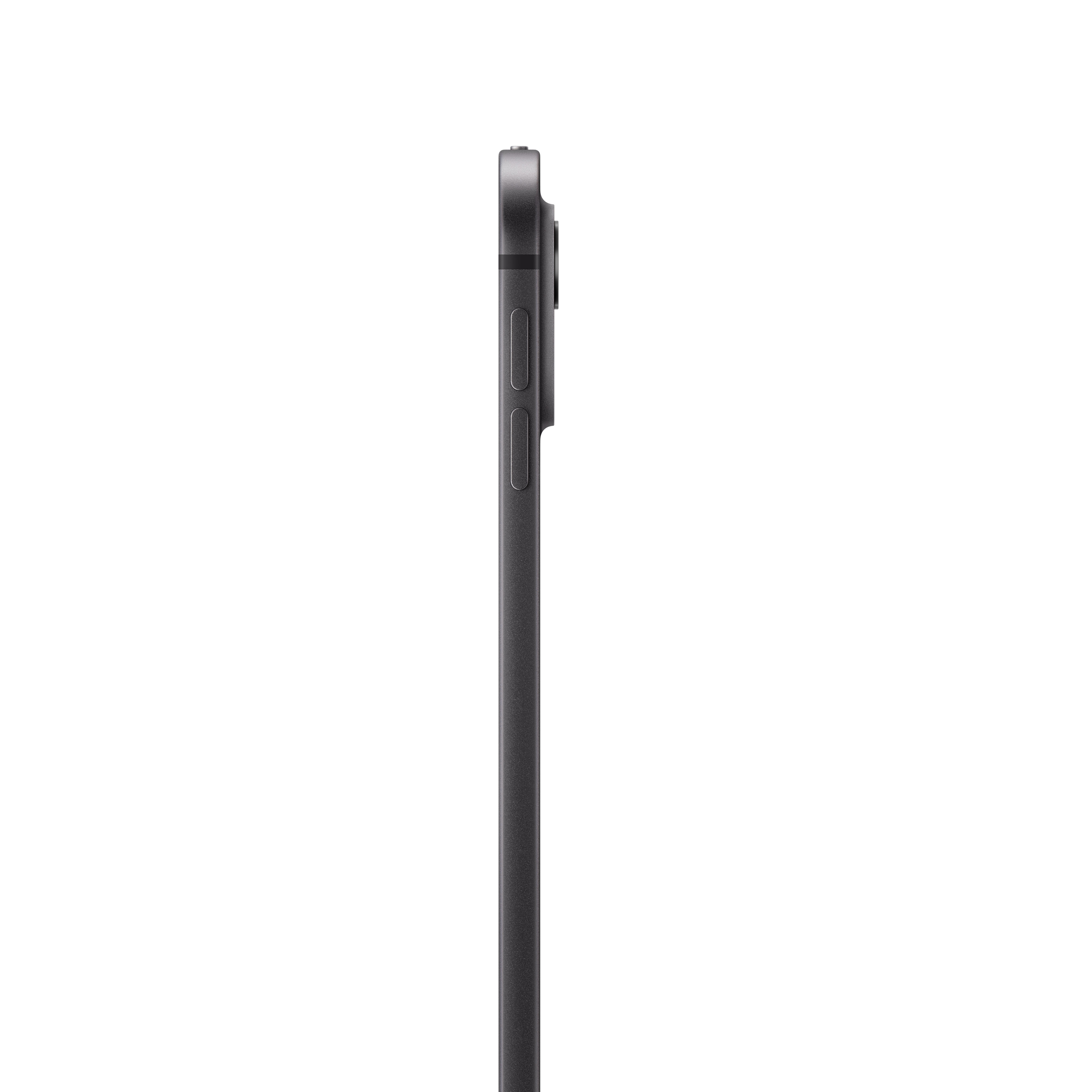Apple iPad Pro 2024 13" WiFi 256 GB Standardglass Space Black